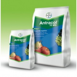 ANTRACOL 10 KG