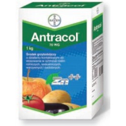 ANTRACOL KG