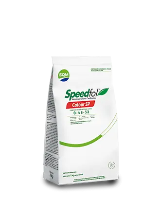 SPEEDFOL COLOUR 1KG