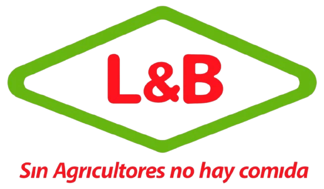 Local LA UNIÓN - BAJO PIURA